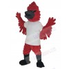 Cardinal mascot costume