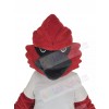 Cardinal mascot costume