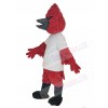 Cardinal mascot costume