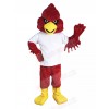 Cardinal mascot costume