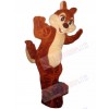 Chipmunk Mascot Costume