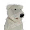 Polar Bear mascot costume