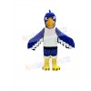 Seahawk mascot costume