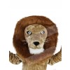 Lion mascot costume