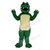 Alligator mascot costume