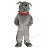 Bulldog mascot costume