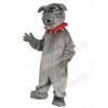 Bulldog mascot costume