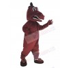 Dragon mascot costume