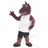 Dragon mascot costume