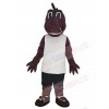 Dragon mascot costume