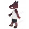 Dragon mascot costume