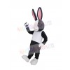 Easter Bunny Rabbit mascot costume