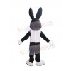 Easter Bunny Rabbit mascot costume