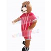Bear mascot costume