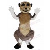 Meerkat mascot costume