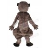 Meerkat mascot costume