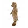 Groundhog mascot costume