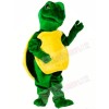 Turtle Mascot Costumes Free Shipping 