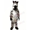 Cheap Funny Zebra Mascot Costumes 