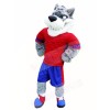 Best Quality Wolf Mascot Costumes 