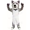 Cody Coyote Mascot Costumes 