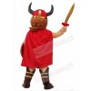 Viking Pirate mascot costume