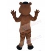 Bear mascot costume