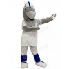 Dolphin mascot costume