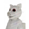 Squirrel mascot costume