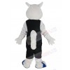 Squirrel mascot costume
