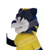 Tiger mascot costume