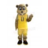 Gopher mascot costume