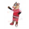 Boar mascot costume