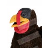 Turkey mascot costume