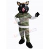 Boar mascot costume
