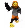 Hawk mascot costume