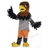Hawk mascot costume