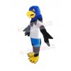 Hawk mascot costume