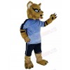 Raccoon mascot costume