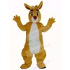Funny Yellow Rabbit Mascot Costume Animal