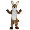 Kangaroo mascot costume