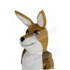 Kangaroo mascot costume