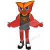 Owl mascot costume