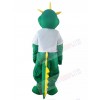 Dragon mascot costum