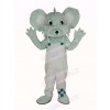 Grey Koala in White Coat Mascot Costume