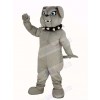 Gray Bulldog Mascot Costume