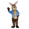 Brown and Gray Peter Rabbit Mascot Costume