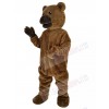 Bear mascot costume