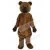 Bear mascot costume
