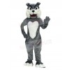 Bulldog Dog mascot costume